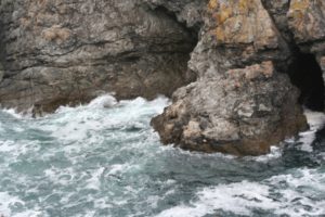 Kergaroel IMG_6636