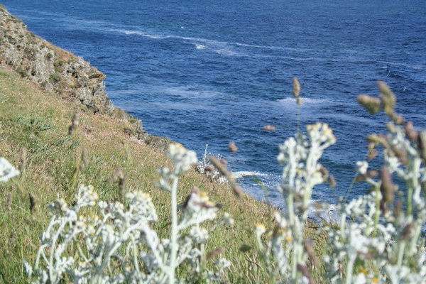 Kergaroel Les merveilles de Belle île